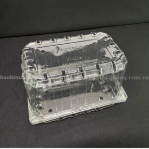 Đáy hộp nhựa đựng hoa quả HCM