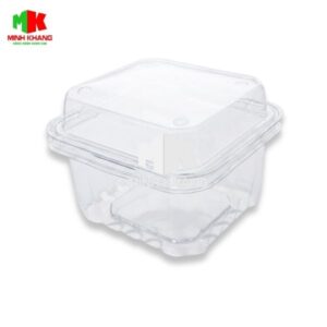 Hộp nhựa 250g – P250A
