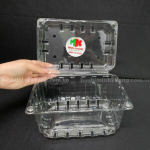 Hộp nhựa đựng hoa quả Jadebox P1000B tại Minh Khang