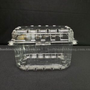 Hộp nhựa đựng hoa quả Jadebox P1000B tại Minh Khang