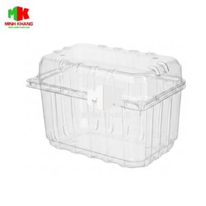 Hộp Nhựa Đựng Trái Cây 1Kg - P1000B