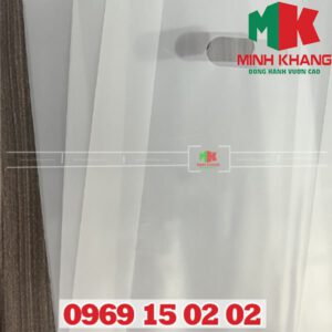 Túi hột xoài