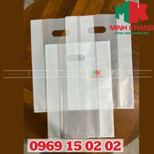 Túi hột xoài PP trong cứng