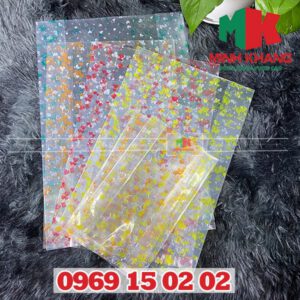 Túi hột xoài in hình
