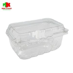 Hộp Nhựa P500B