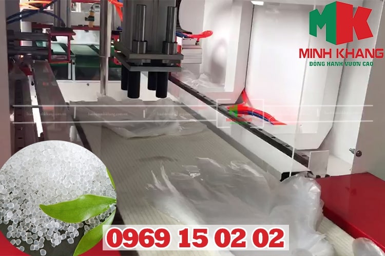 Bao bì Minh Khang nhà sản xuất và phân phối găng tay nilon