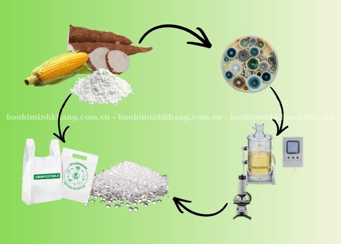 Quy trình sản xuất nhựa sinh học giúp tối ưu chi phí và kiểm soát chất lượng đầu ra