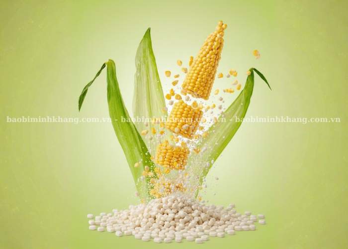 Tinh bột ngô là nguồn nguyên liệu rất dồi dào tạo ra nhựa sinh học PLA