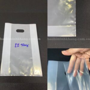 Cấu tạo túi hột xoài trong suốt