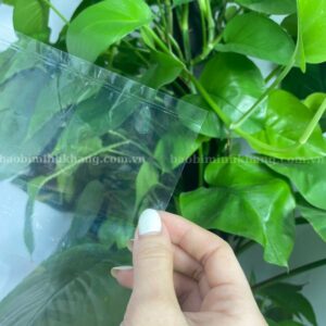 Đáy túi pp tại Minh Khang