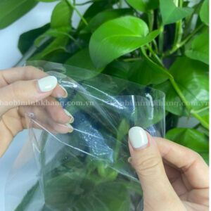 Miệng túi bóng kính trong suốt tại Minh Khang