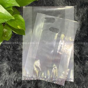 Túi hột xoài trong suốt tại Minh Khang