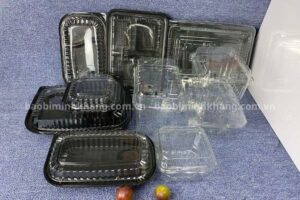 Bao Bì Minh Khang cung cấp đa dạng hộp nhựa dùng 1 lần giá rẻ Hà Nội