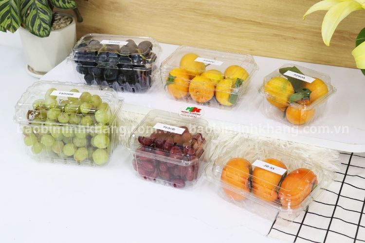 Bao Bì Minh Khang  chuyên sỉ các sản phẩm hộp nhựa dùng 1 lần giá sỉ ưu đãi cao.