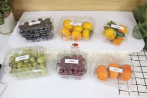 Hộp nhựa trong suốt dùng 1 lần làm từ nhựa PET an toàn