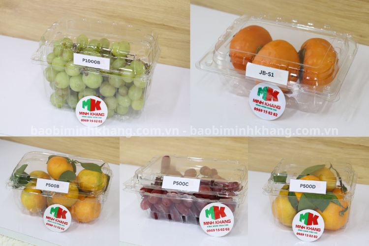 Bao Bì Minh Khang phân phối đa dạng các dòng hộp nhựa trong suốt hình chữ nhật