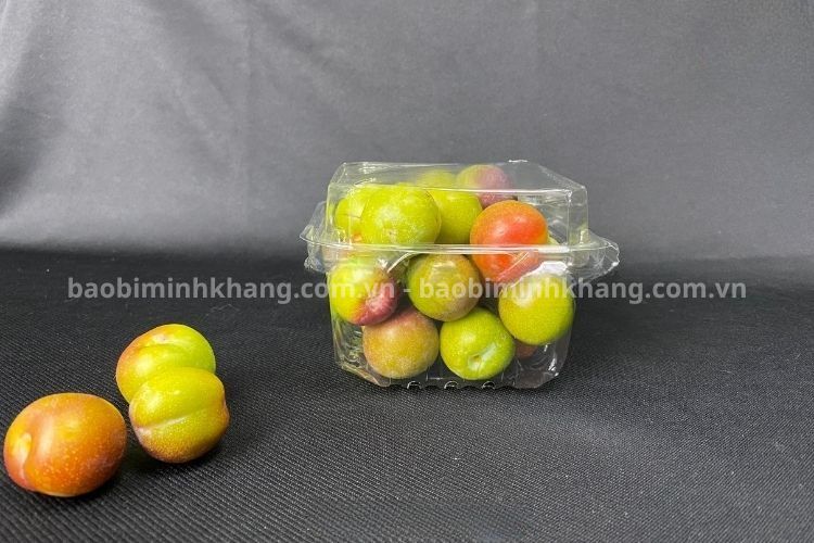 Bao Bì Minh Khang cung cấp hộp nhựa  trong suốt P250A chính hãng Jadebox