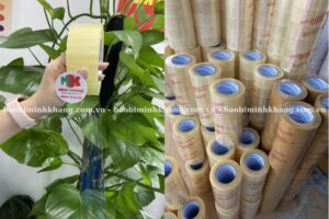 Băng keo trong suốt 100 yard