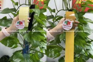 Bạn nên chọn nhà sản xuất băng keo có nhiều năm kinh nghiệm