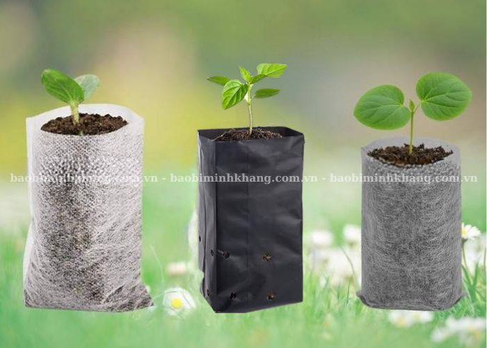 Các loại màu sắc thường thấy của túi ươm cây tự huỷ