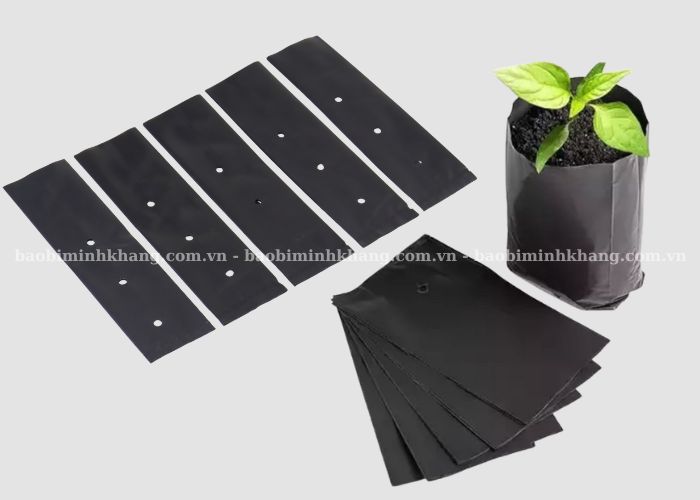 Túi ươm cây tự huỷ có hình trụ đứng khi chứa đất