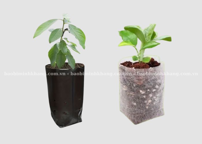 Túi ươm cây tự huỷ thường được sản xuất từ vải không dệt hoặc nhựa sinh học