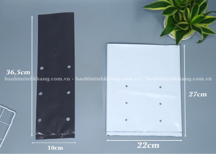 Việc bạn chọn đúng kích thước túi ươm cây tự huỷ giúp giúp cây phát triển ổn định