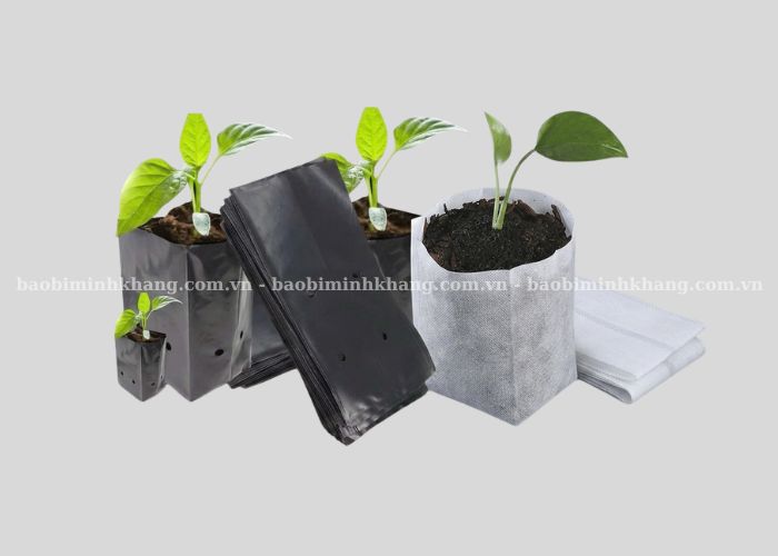 Túi ươm cây tự huỷ là một dạng túi tự huỷ có thể phân rã trong môi trường đất