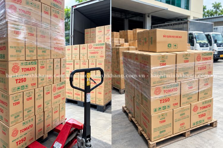 Kho hàng màng bọc thực phẩm giá rẻ sẵn sàng cung ứng số lượng lớn